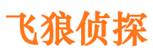 宁夏市侦探调查公司